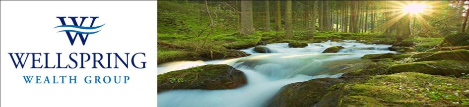 Wellspring Wealth Group logo with forest stream