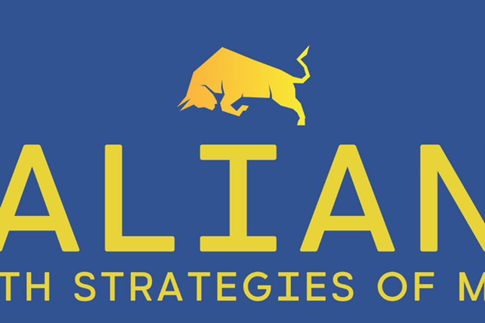 Valiant Wealth Strategies of Miami logo with bull icon