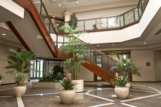 Atrium with wooden staircase and indoor plants.