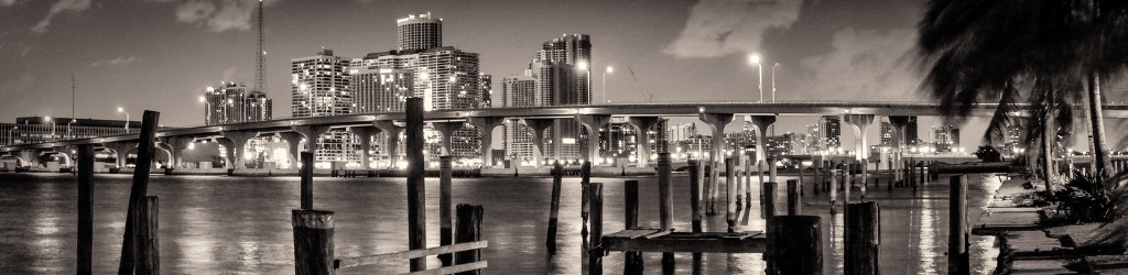 Miami skyline and bridge at night in sepia tone