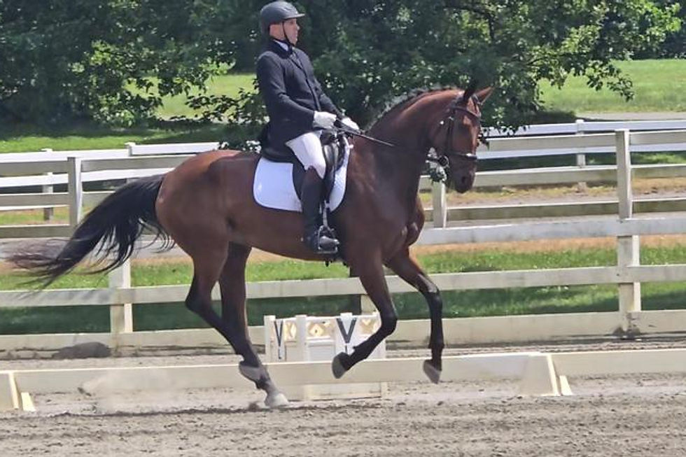 Equestrian rider competing in a dressage arena