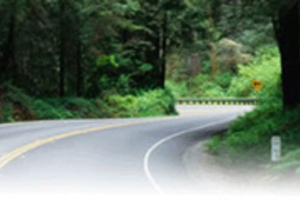 Winding road through a dense green forest