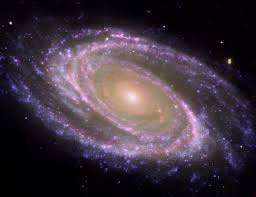 Image result for cosmic tees llc