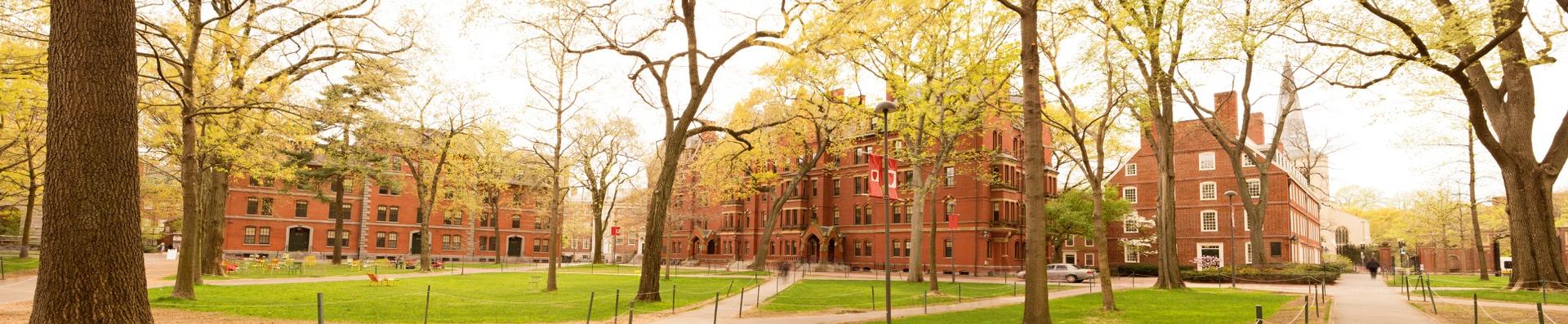 university buildings