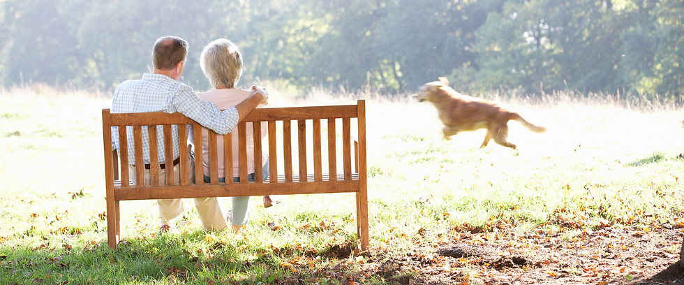 Senior couple on park bench watching a running dog
