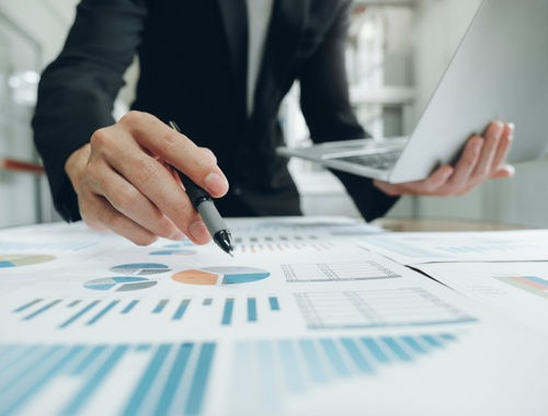 Professional analyzing financial data and business charts