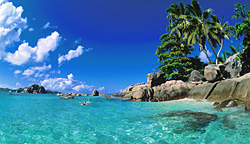 Tropical beach with turquoise water and palm trees