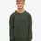 Miniature : COLORFUL STANDARD SWEAT OVERSIZED CREW MIDNIGHT FOREST