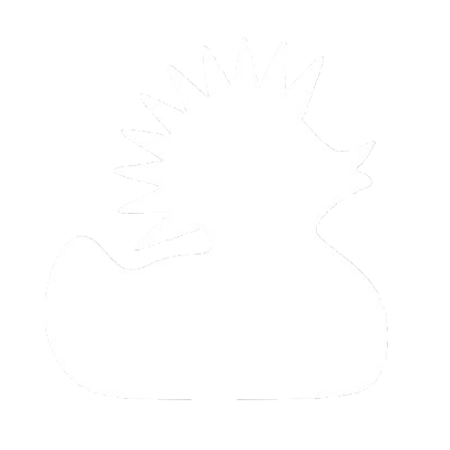 LOGODUCKSANSINFOS-removebg-preview-modified.png