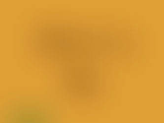 What is a virtual assistant