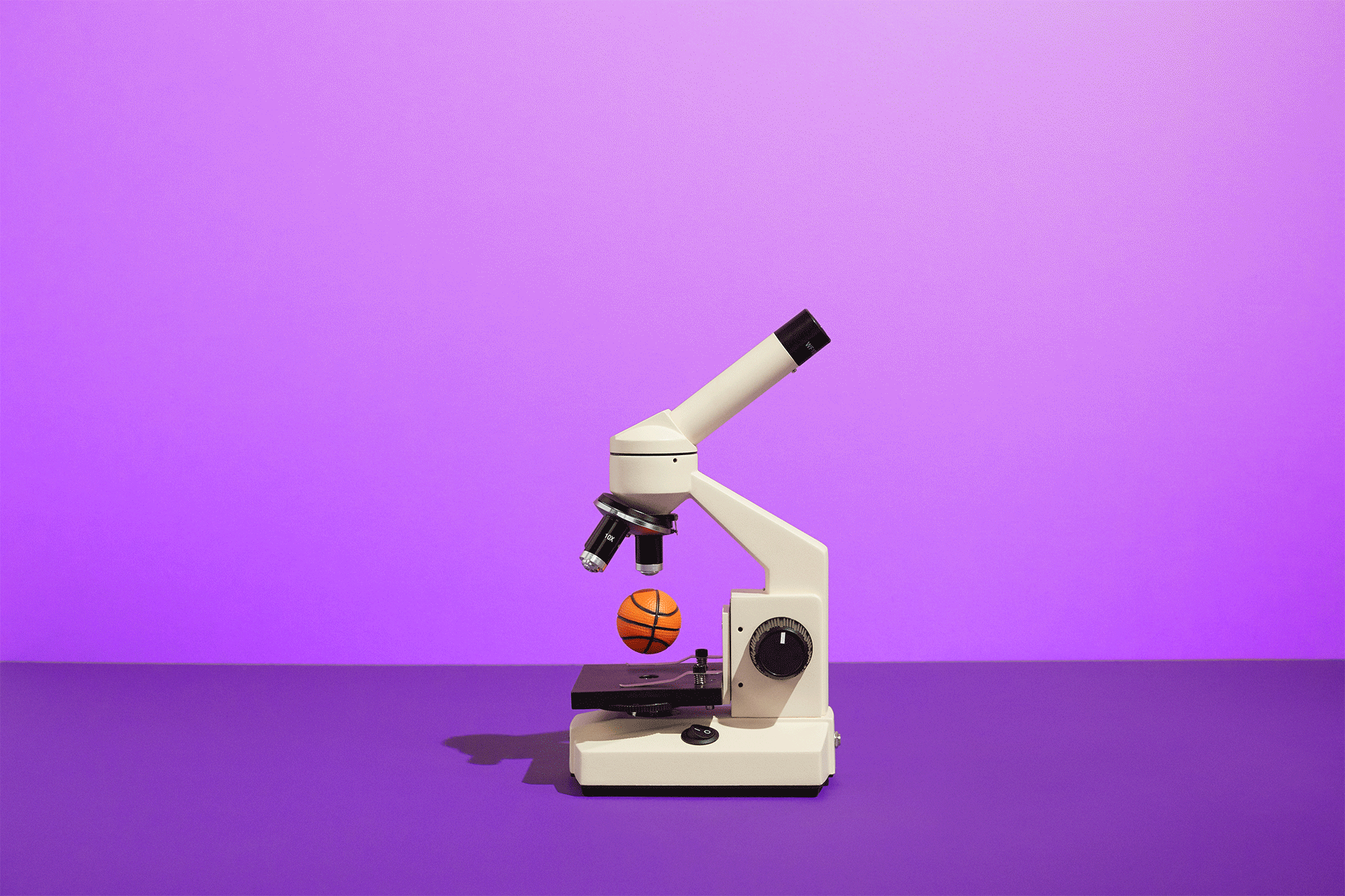 THE MICROSCOPE