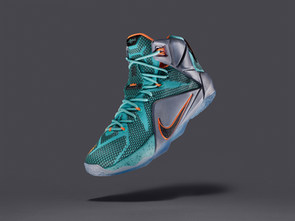 LEBRON X