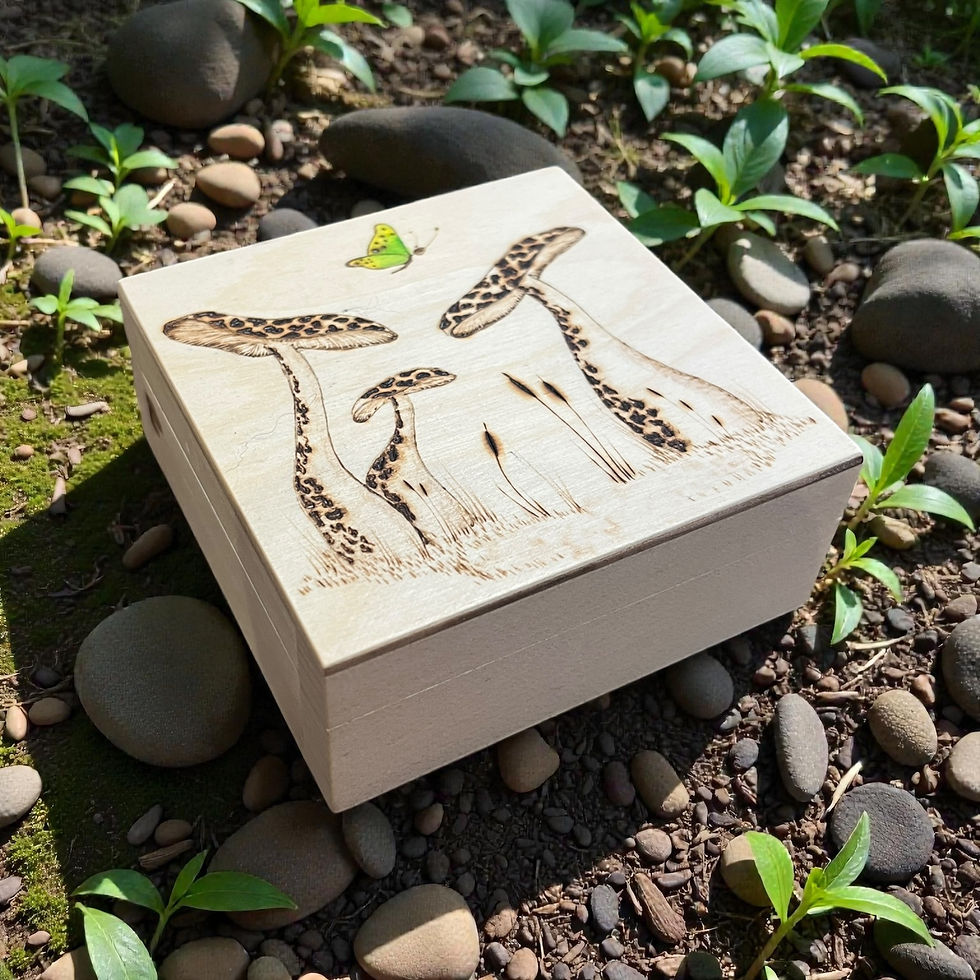 Mushroom and butterfly, Pyrography Box