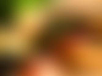 VEGETARIÁNSKY BURGER