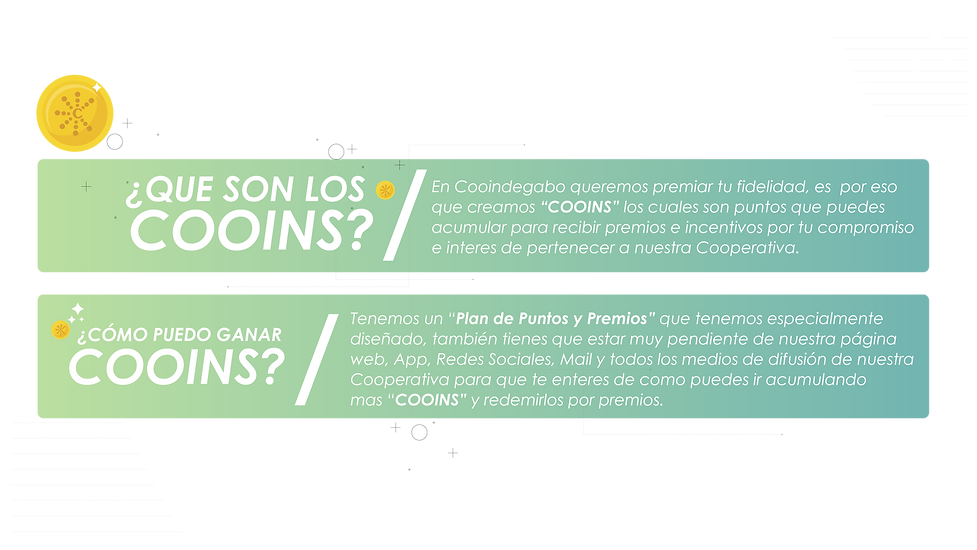 PLAN COOINS _Mesa de trabajo 1.png