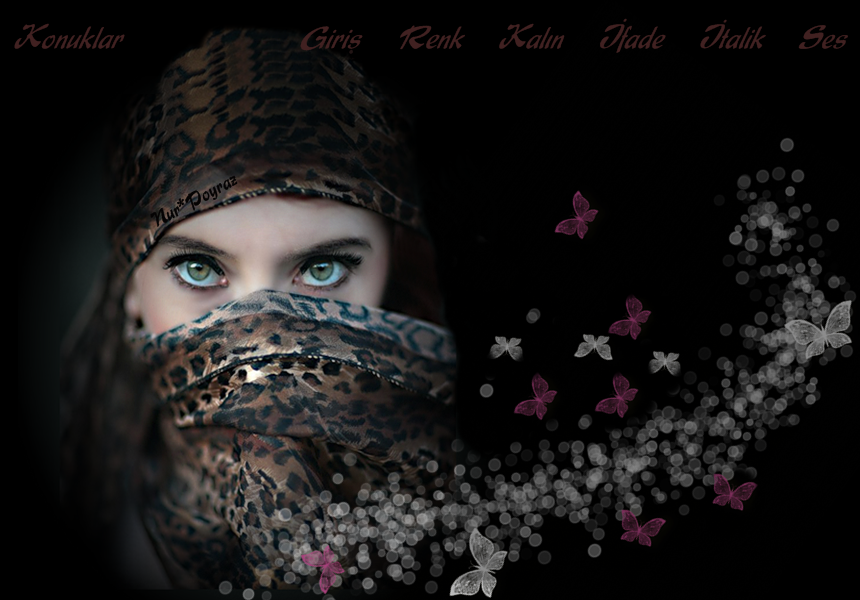 alaydın baban evine