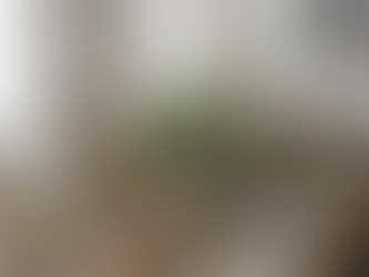 Catering a domicilio para comuniones Tu banquete listo en casa