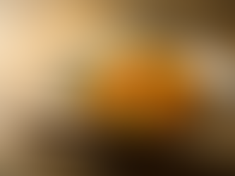 Cómo hacer una paella vegetariana perfecta