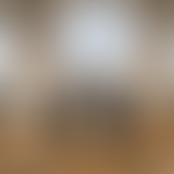 Catering vegano en Madrid para fiestas