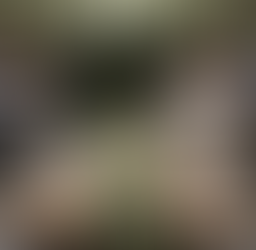 Catering para eventos pequeños en terrazas o jardines de Madrid