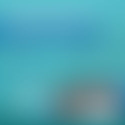 New Experts Join EVO ICL™ Masterclass in Zurich!