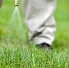 herbicide-spray-400x600.jpg