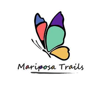 Logo_2_New_Colour_1_edited.png