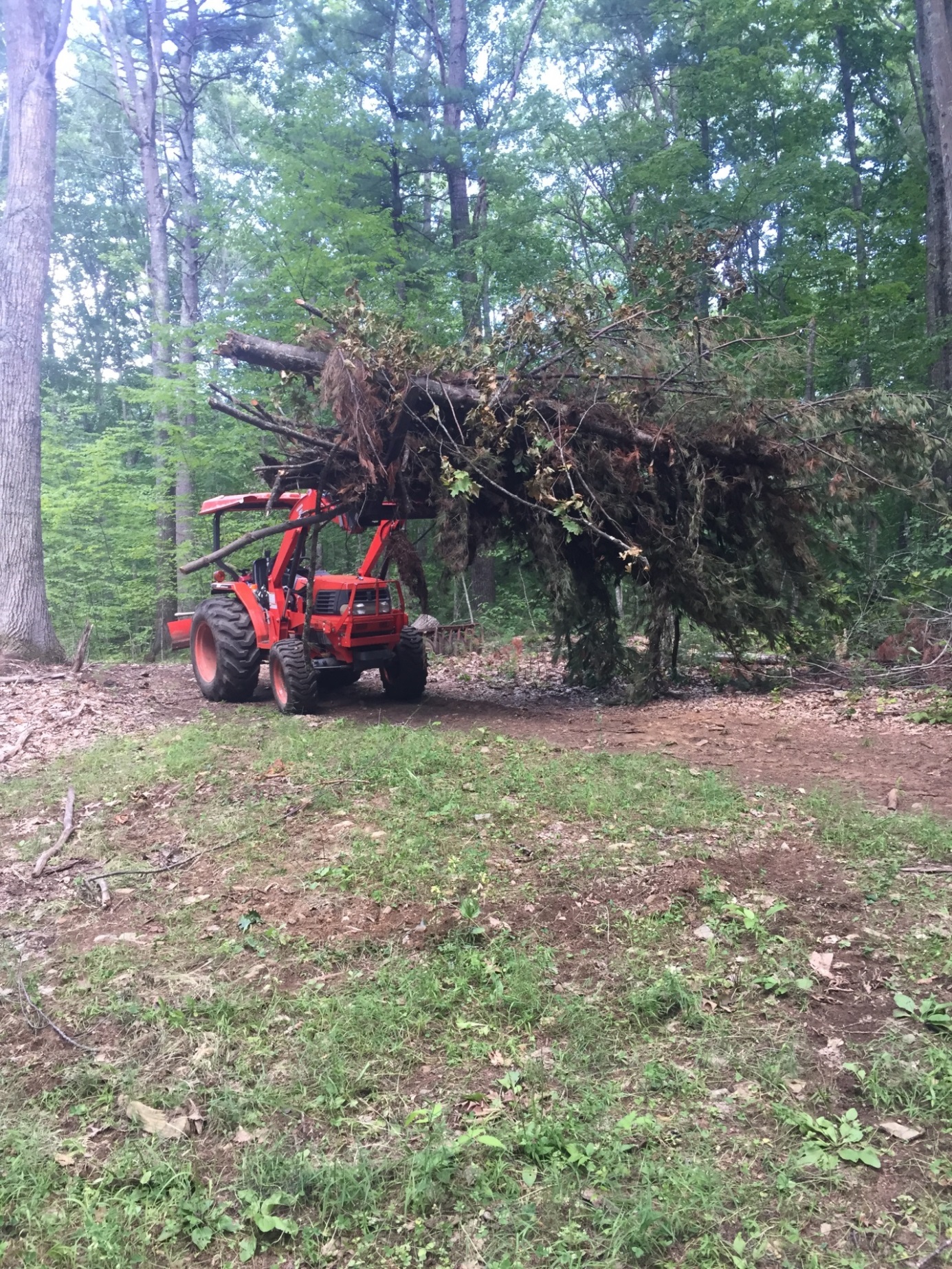 New England Land & Tree Care