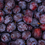 Thumbnail: Plums 500g