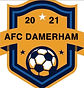 AFC Damerham Logo.jpg