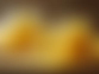 How to Buy the Best Quality Beef Tallow Online