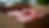 Eye-level view of packaged meat cuts in insulated delivery box