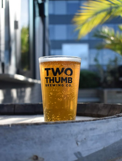 Glass of Beer