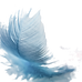 Feather_edited.png