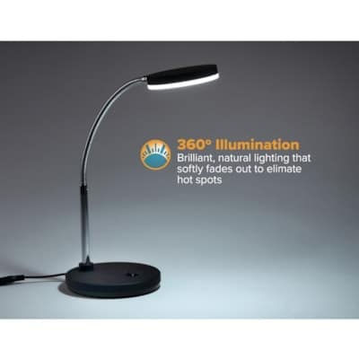 Metal Gooseneck Desk Lamp, Black - LED Bulb - Polished Metal