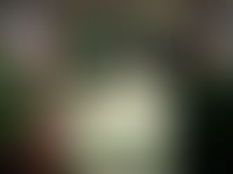 Affordable Landscaping Ideas For A More Memorable Entrance