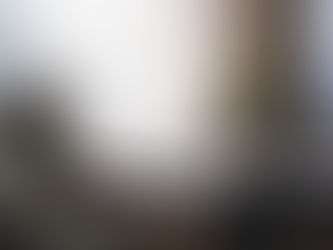 How To Care For Your Plants In The Winter