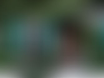 Watch Out! These Popular Plants Might Overtake Your Garden