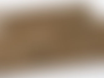 Insights Series: ESSA Framework for Trade Compliance 