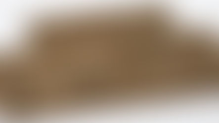 Insights Series: ESSA Framework for Trade Compliance