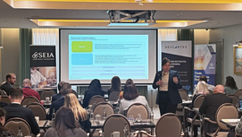 woman presenting at confernece