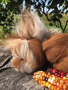 carded alpaca fleece in brown colours