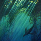 Sealion swimming under giant kelp with sunlight shining down.
