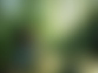 "Nature: The Power of Finding Serenity in the Great Outdoors"