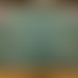 👧園庭開放👦