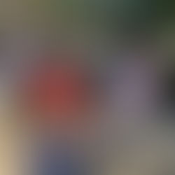 初めてのお出かけ！昆虫館🦋