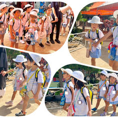 🐬お泊まり保育🌻