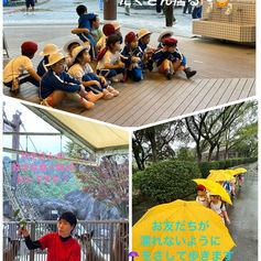 仲良し動物教室🐹🐐🐴