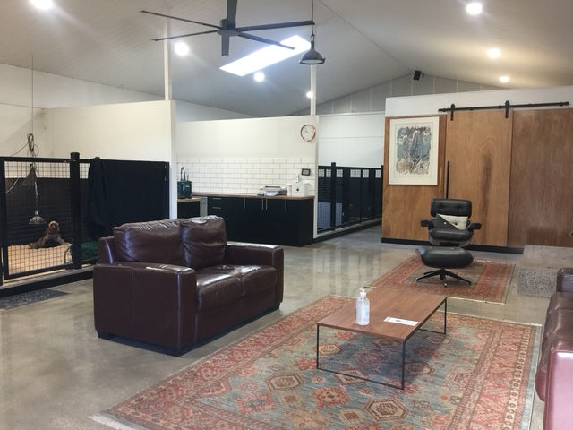 Spacious indoor puppy lounge and kennel area with pens, leather couches, rugs, and a calm homely setup.