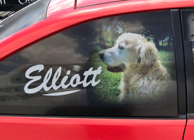 Custom Window Decal
